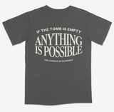 Anything is Possible T-Shirt